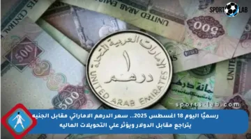 رسميًا اليوم 18 أغسطس 2025.. سعر الدرهم الإماراتي مقابل الجنيه يتراجع مقابل الدولار ويؤثر على التحويلات المالية